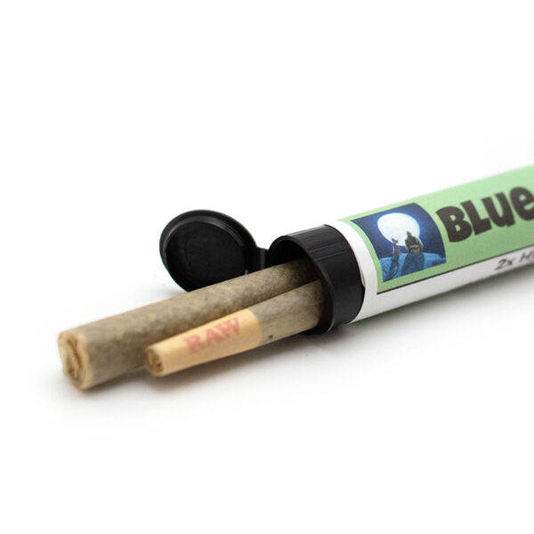 bluedream preroll 2