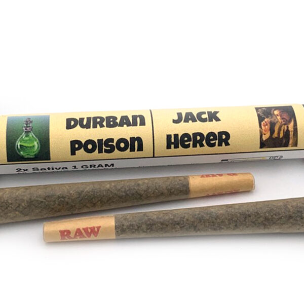 durbanpoison jackherer preroll 1