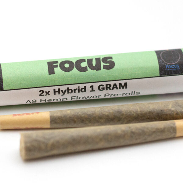 focus preroll 1