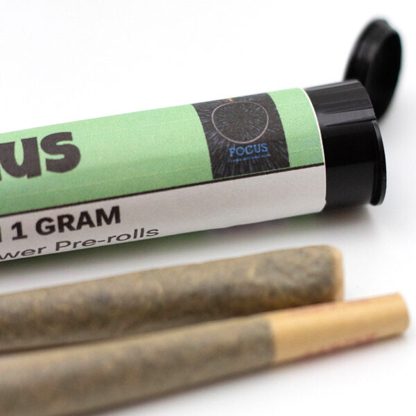 focus preroll 2