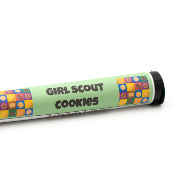 girlscoutcookies preroll 1