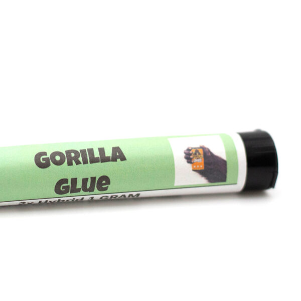 gorillaglue preroll 3