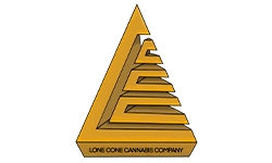 lonecone logo