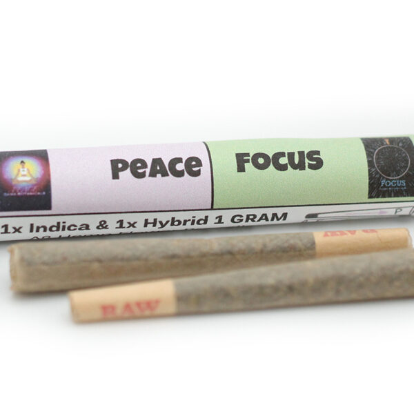 peace focus preroll 1