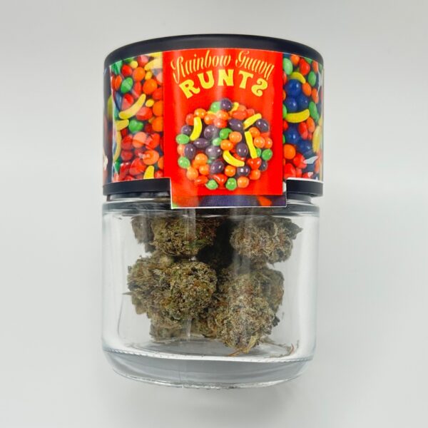 An eighth of the THCA flower Rainbow Guava Runtz in a glass jar.