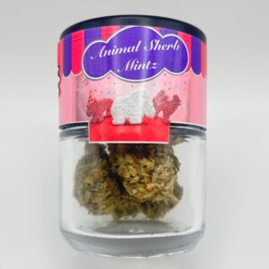 An eighth of the THCA flower Animal Sherb Mintz in a glass jar from Dama Botanicals