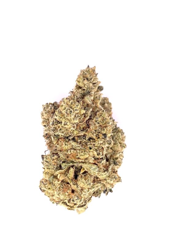 Gorilla Glue